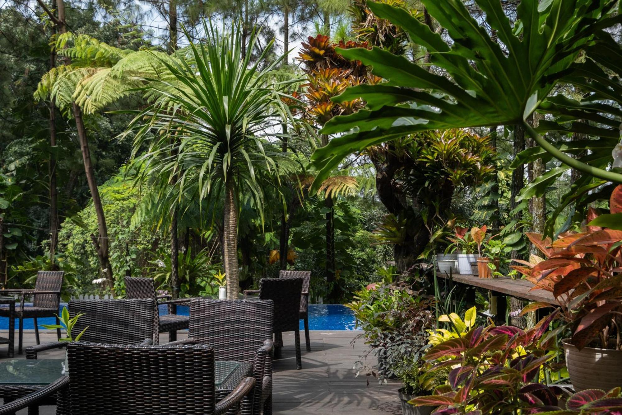 Hotel House Sangkuriang Bandung Exteriér fotografie